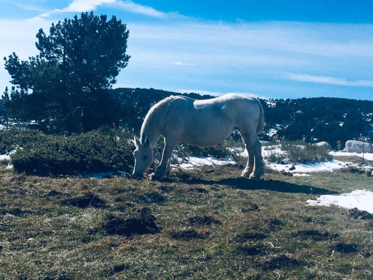 La Pradella Bolquere Pyrenees 2000アパートメント エクステリア 写真